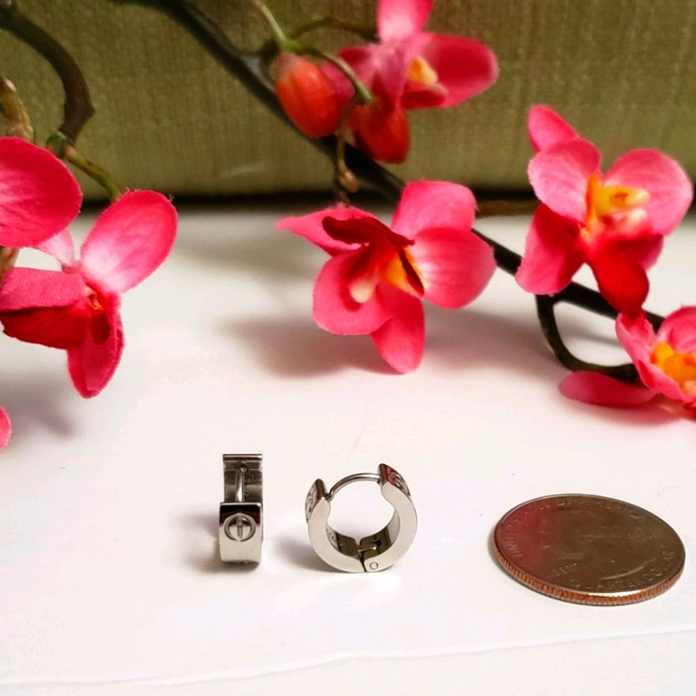 Huggie Earrings